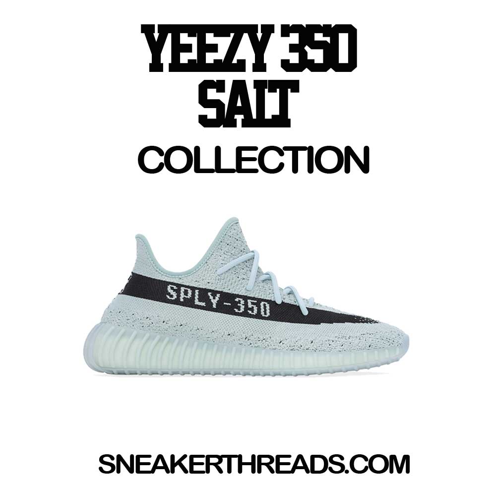 350 Salt Enemies Shirt